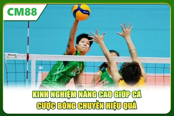 Kinh nghiệm nâng cao giúp cá cược bóng chuyền hiệu quả 
