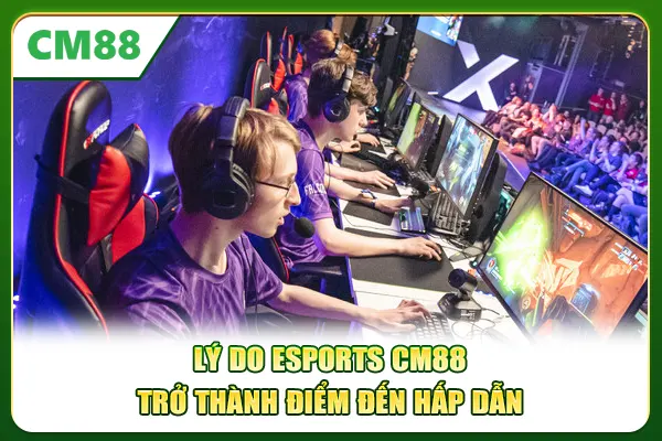 Lý do Esports CM88 trở thành điểm đến hấp dẫn