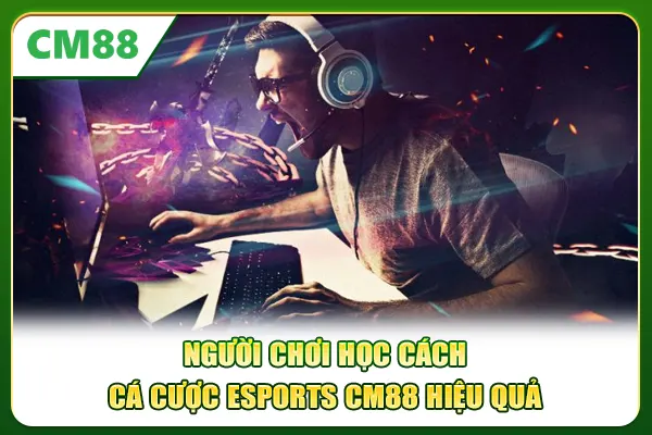 Người chơi học cách cá cược Esports CM88 hiệu quả